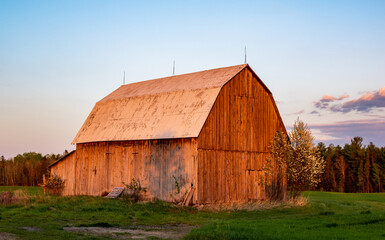 Obraz premium Old barn in golden light