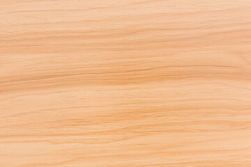 brown wood texture. Background old wooden panels.