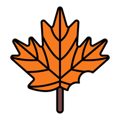 fall maple leaf in autumn using soft color and filled line style