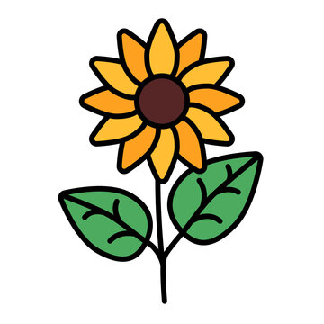 sunflower plant in spring using soft color and filled line style