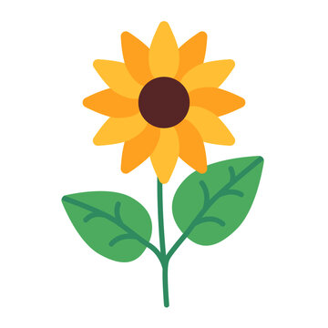 sunflower plant in spring using soft color and flat style
