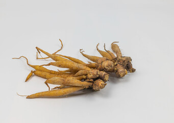 Boesenbergia rotunda.