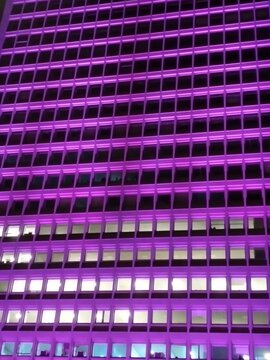 Purple Building