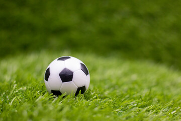 Obraz premium soccer ball on green grass