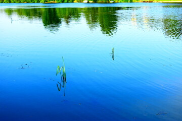 reflections in water