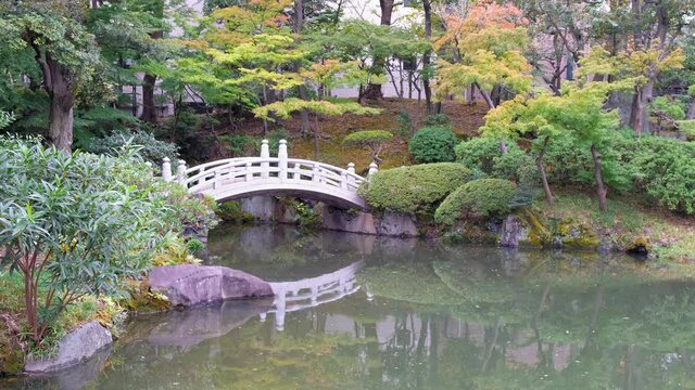 Video of white arch bridge over pond in Yasuda Garden, a small Japanese stroll garden located in Ryogoku. Tokyo. Japan