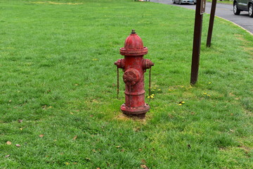 Red Fire Hydrant in a Grass Field