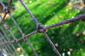 The healds connected together are on a green background