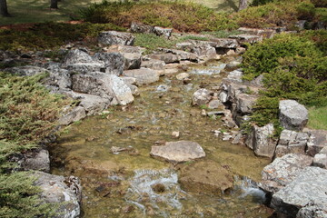 Flow Of The Creek, U of A Botanic Gardens, Devon, Alberta