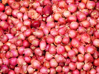 farm fresh onion