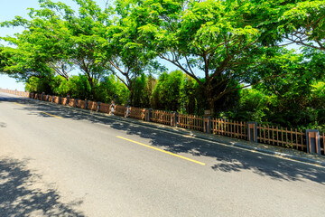 Asphalt road and green forest scenery.