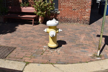Yellow Fire Hydrant with White Trim in an Urban Setting