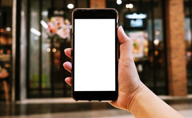 Close up of women's hands holding cell telephone blank copy space screen. smart phone with technology concept