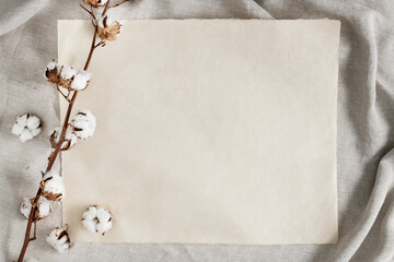 Cotton flower branch on a blank paper over a creased gray fabric background