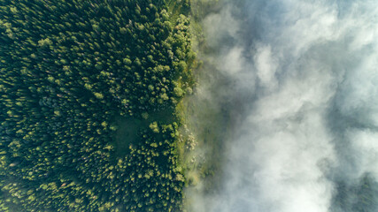 top view of a green forest with a bright blue river with fog and white clouds. photo wallpaper and promotional products for summer vacations and morning landscapes