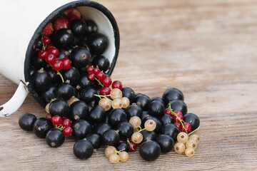 Image of inverted white old iron mug with scattering of black white and red currant berries spilled out of it on light wooden table on green natural background. Ecological food. Natural vitamins.
