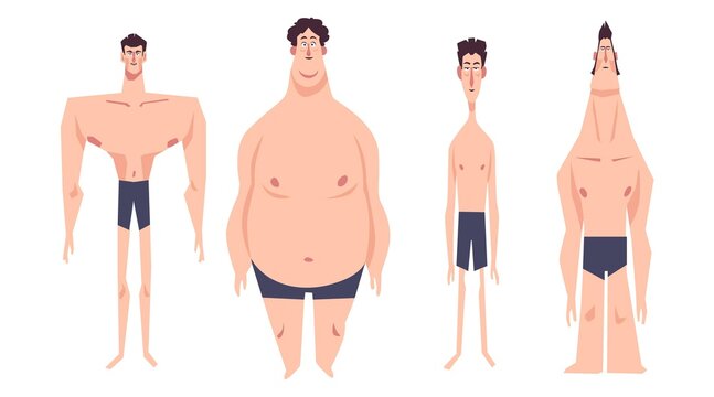 Cartoon Types Of Male Body Shapes