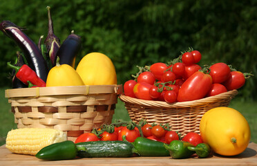 Fresh Summer Vegetable Harvest Fresh Organic Food Concept