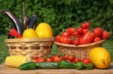 Fresh Summer Vegetable Harvest Fresh Organic Food Concept