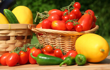 Fresh Summer Vegetable Harvest Fresh Organic Food Concept