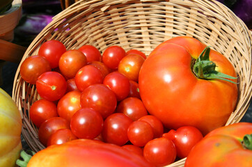 Fresh Organic Ripe Tomatoes at Farmers Market