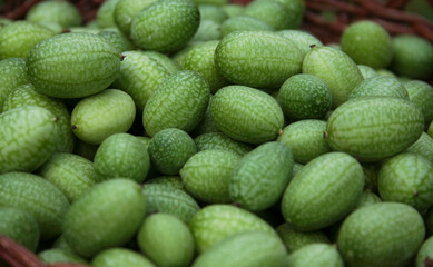 Summer Harvest Miniature Mexican Watermelons - Melothria scabra
