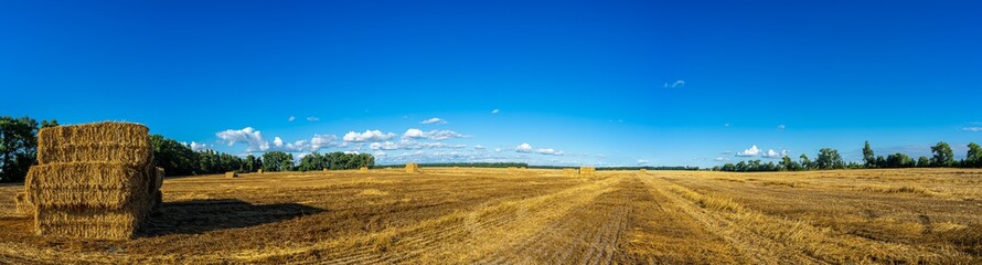 Fototapeta premium stubble field, sunny, landscape, countryside, nature, harvest, wheat, land, bale, agriculture, summer, yellow, crop, field, straw, sky, grain, farm, golden, rural, hay, meadow, grass, gold, stack, cou