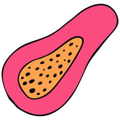 orange tropical exotic fruit papaya cutaway, vector color doodle element with black outline