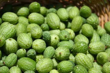 Summer Harvest Miniature Mexican Watermelons - Melothria scabra