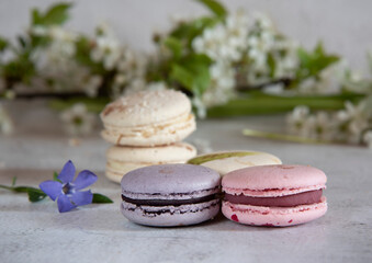 Several macaroons lie on the table decorated with flowers.