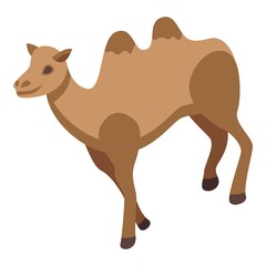 Camel animal icon. Isometric of Camel animal vector icon for web design isolated on white background