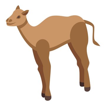 Caravan camel icon. Isometric of Caravan camel vector icon for web design isolated on white background