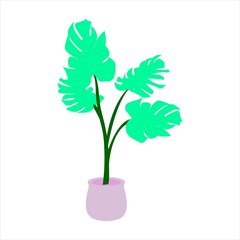 Monstera tropical plant in a pot color line icon. Indoor flower. Interior element. Trendy flat isolated symbol, for: illustration, outline, logo, mobile, app, design, web, dev, ui, ux. Vector EPS 10