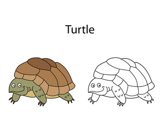 Funny cute animal turtle isolated on white background. Linear, contour, black and white and colored version. Illustration can be used for coloring book and pictures for children