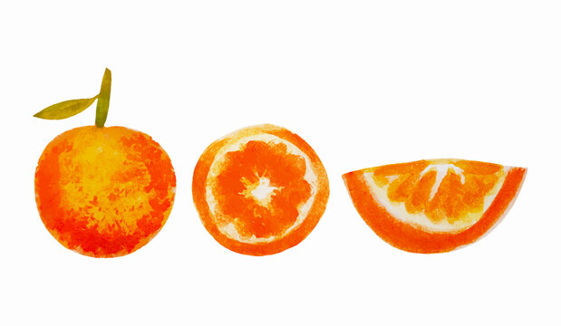 orange fruit set isolated on white
