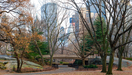 Central Park in winter, Manhattan, New York