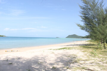 beach with trees at Thailand