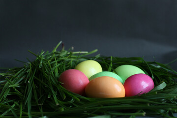 Сolorful easter eggs in the green grass