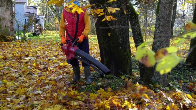 guy with leaf blowing machine rake colorful leaves near tree trunk in garden