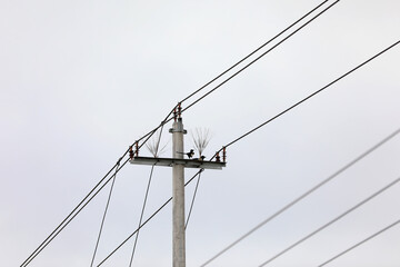 A magpie wants to pull out the peculiar shape of the wire on the pole, North China