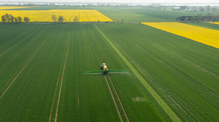 Fototapeta premium Traktor mit Feldspritze beim Ausbringen von Pflanzenschutzmittel gegen Pestizid