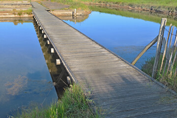 wooden walway crossing ancient seawater ponds  for oyster farming