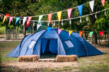 Camping and tent under the pine forest