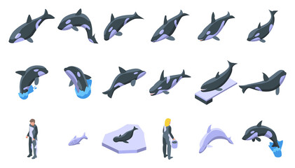 Killer whale icons set. Isometric set of killer whale vector icons for web design isolated on white background