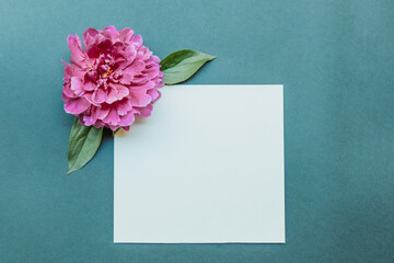Blank notepad sheet and burgundy peony flat lay on blue background. Summer concept with place for text, mockup