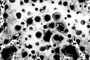 oil Ink, paint, splash abstract. Closeup black,abstract hand draw painting background. Highly-textured oil paint.