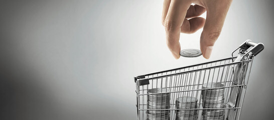 Coin in hand ,standing on a coin in a shopping cart ,concept of success in business finance and...