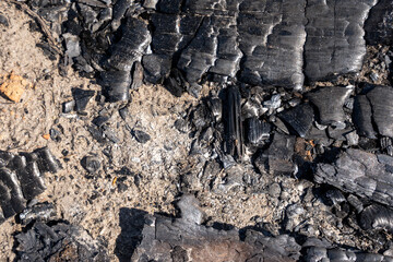 the coal left over from the campfire is black and there is ash between them
