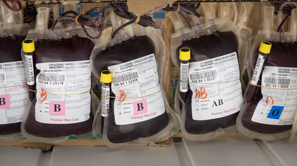 Group of human blood bag storage in blood bank.