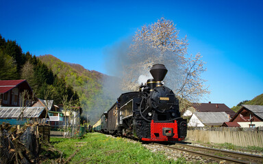 Steam train engine near a spring tree in North Romania